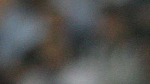 América recibe a Monterrey en duelo de la fecha 15 del Clausura 2018