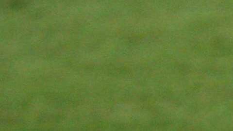 Tigres reciben a Monterrey, en duelo correspondiente a la fecha 17 del Clausura 2018