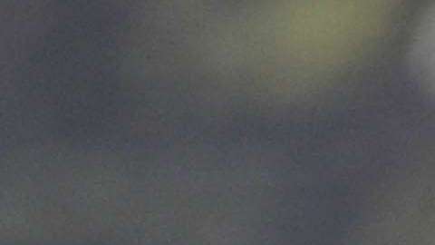 Carlos "Gullit" Peña fue sorprendido comprando un "six" de cervezas, después del entrenamiento de Cruz Azul