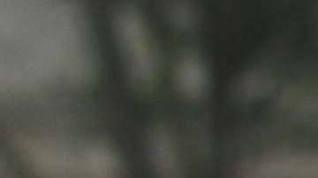 Centenares de activistas de la comunidad musulmana y pro-inmigrante marcharon frente al Hotel Trump en Washington el año pasado para denunciar la veda a inmigrantes musulmanes. Foto: María Peña/Impremedia