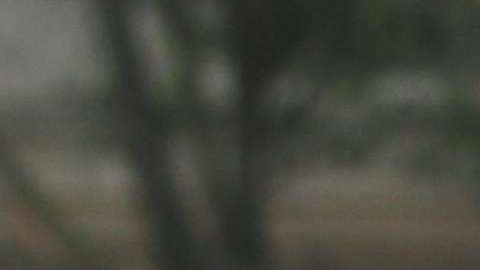 Centenares de activistas de la comunidad musulmana y pro-inmigrante marcharon frente al Hotel Trump en Washington el año pasado para denunciar la veda a inmigrantes musulmanes. Foto: María Peña/Impremedia