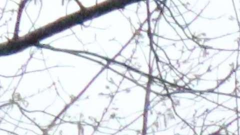 Trabajadoras domésticas y campesinas exigen protección contra acoso y abuso sexual.