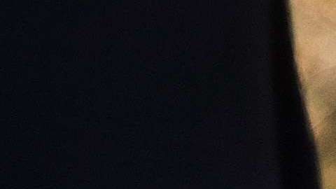 Cinco individuos lograron escapar al cerco de las autoridades