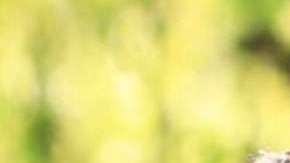 Marco Flores, vocalista de la Banda Jerez.