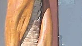 Justin Bieber se ha tatuado todo el torso.