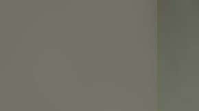 Kenneth Lijah Duyck admitió agresión sexual a un animal y robo