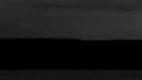 La compañía de citas LastFirst no satisfizo al viudo Michael L. Fleischer