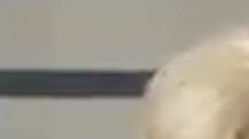 Laura León en el programa "Hoy"