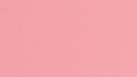 Toda brocha, pincel o esponja que se use para el maquillaje debe limpiarse y lavarse con frecuencia.