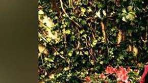 Guardia, de 56 años, cuida mucho su cuerpo.