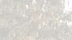 El caso ocurrió en California.