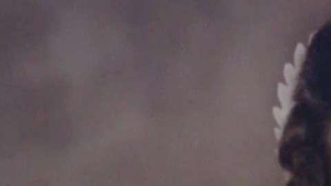 Louise Pietrewicz salió de su casa en octubre de 1966 y nunca más regresó