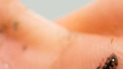 El 60% de las mujeres en Estados Unidos denuncia acoso sexual en el trabajo