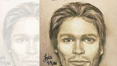 Los derechos del boceto son del abogado de Daniels, Michael Avenatti.