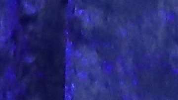 Michelle Obama compartió una imagen en sus redes sociales.