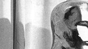 'One Flew over the Cuckoo's Nest', el mejor largometraje de Forman, conquistó los Oscar de 1975, recibiendo los cinco galardones principales.        
 Izquierda a derecha: Michael Douglas (productor), Milos Foreman, Louise Fletcher (actriz), Jack Nicholson (actor) y Saul Zaentz (productor).