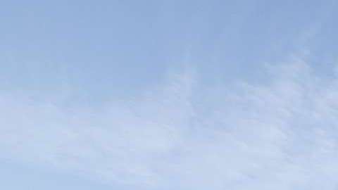 Universitarios de se manifiestan a favor de los derechos universales de los inmigrantes indocumentados.