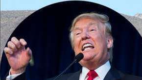 muro-frontera-mexico-trump