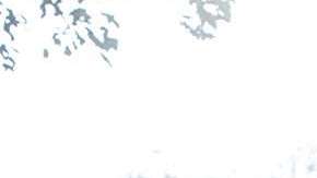 ¿Necesitarán refuerzos?