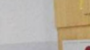 Desde enero pasado se encontraba enferma.