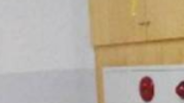 Desde enero pasado se encontraba enferma.