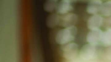 Los pequeños negocios pertenecientes a latinos son el segmento con crecimiento más rápido en el país.