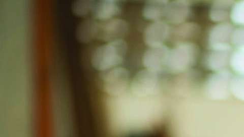 Los pequeños negocios pertenecientes a latinos son el segmento con crecimiento más rápido en el país.