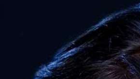 "Teresa", "El Señor de los Cielos" y "Rubí" son algunos de los títulos que ofrece la plataforma digital