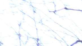 Activistas dicen que "no es sostenible" el sistema de cálculo para cupones de Sección 8