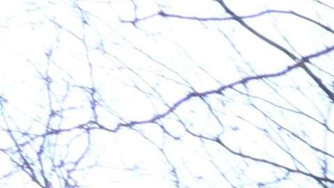 Activistas dicen que "no es sostenible" el sistema de cálculo para cupones de Sección 8