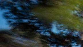 Desde Europa, las mejores SUV