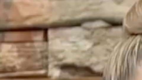 Atala Sarmiento y Pati Chapoy durante una emisión de "Ventaneando"