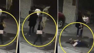 La mujer fue golpeada fuertemente en la cabeza por el animal.