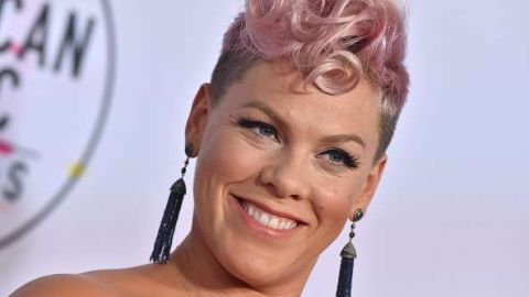 La cantante Pink.