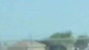 Un poni revoluciona el sur de Florida.