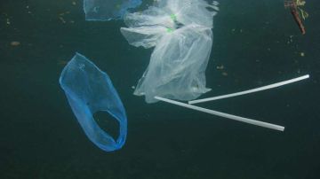 Los popotes plásticos son una amenaza para las especies marinas.