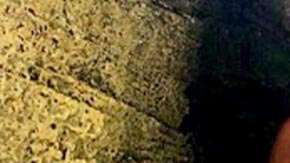 Roberge se tomó varias fotos del viaje y las publicó en redes para presumir.