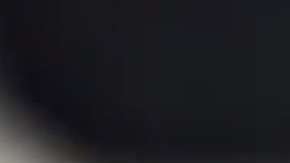 Las ratas son un serio problema en Nueva York.