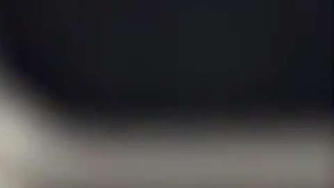 Las ratas son un serio problema en Nueva York.