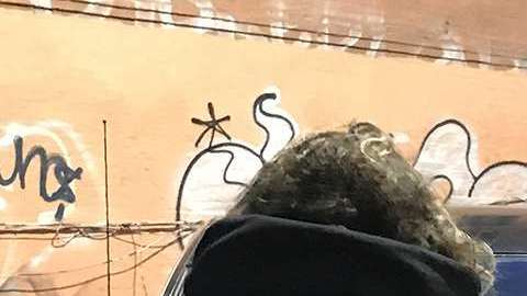 Varios de los detenidos tenían graves antecedentes penales