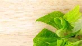 Se pide a restaurantes y minoristas evitar lechuga romana proveniente de Yuma, Arizona