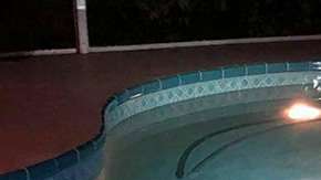 Este gran cocodrilo nadaba en la piscina de una familia en Sarasota, Florida.