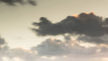 De lujo o no, estos son los autos que veremos en 2019.