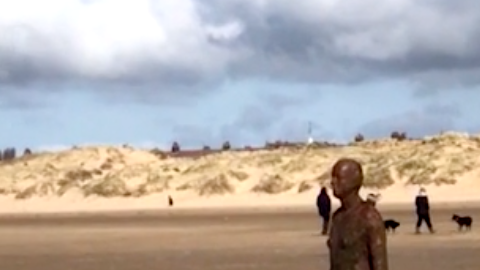 Este border collie está convencido de que ese hombre puede jugar con él.