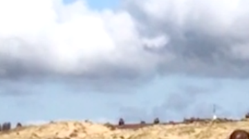 Este border collie está convencido de que ese hombre puede jugar con él.