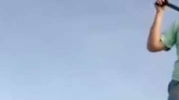 Conoce a Loretta, un pollo con una vida afortunada.