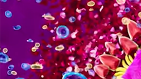 René en su controvertido video: 'Sexo'