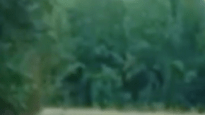 Esta joven deja claro su talento solo con su guitarra y su voz.