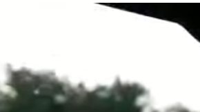 Un perrito no puede contener su emoción cuándo sabe adónde va.