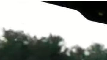 Un perrito no puede contener su emoción cuándo sabe adónde va.